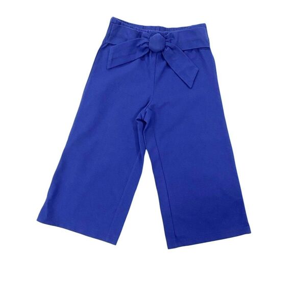 Janie & Jack Girls Solid Navy & Striped Blue & White Wide-Leg Pants 3T Trendy - Picture 6 of 11